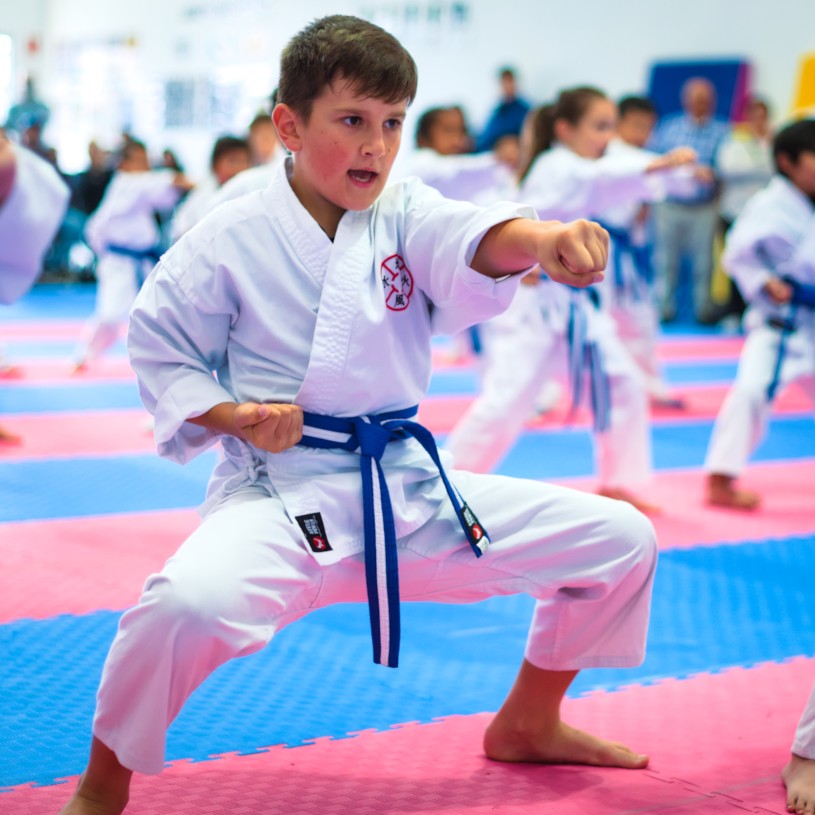 Horse stance punch