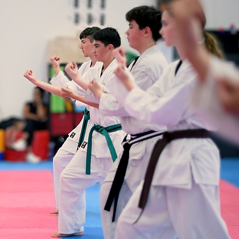Teens and Adults karate